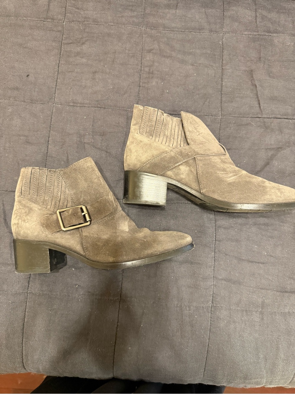 Aquatalia Grey Taupe Suede Buckle Ankle Boots
